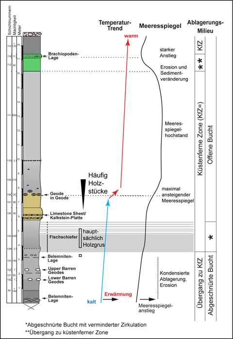 Umweltveränderungen über einige Millionen Jahre in der Bucht von Ahaus-Alstätte vor etwas 120 Millionen Jahren. Sehr stark vereinfacht nach Lehmann et al. (2012)