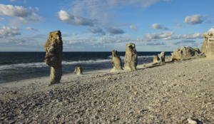 Tropische Korallen am Rande des Baltikums – das Silur von Gotland @ Bremen | Bremen | Deutschland